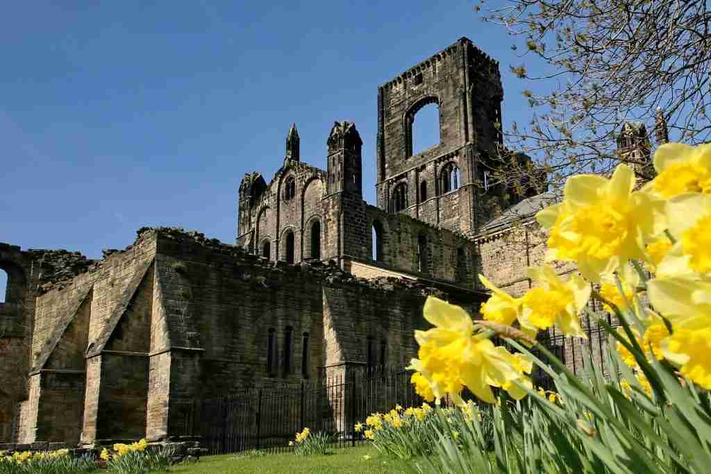 direct cremation in west yorkshire - Kirkstall Abbey in Spring Sunshine With Daffodils In Foreground